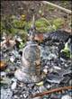 Arson Attacks on 16th May and 27th Nov. 2009